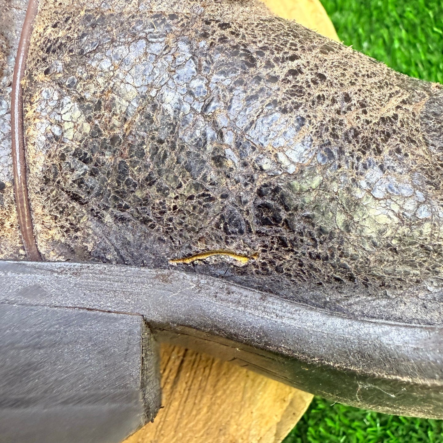 Frye Women - Size 6.5B - Distressed Brown Cowboy Boots 77704